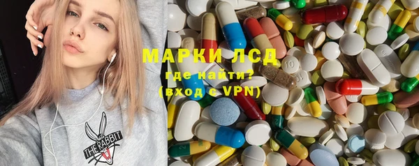 ПСИЛОЦИБИНОВЫЕ ГРИБЫ Заволжье