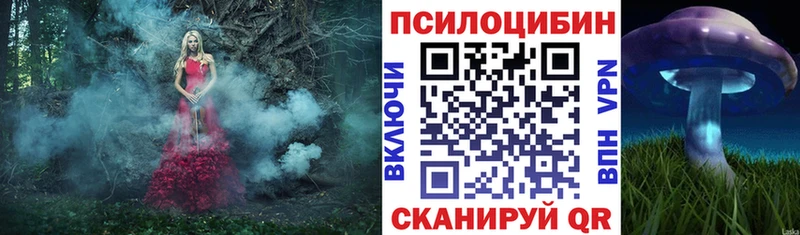 Купить где  Дмитровск  Псилоцибиновые грибы Psilocybe 